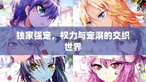 独家强宠,权力与宠溺的交织世界