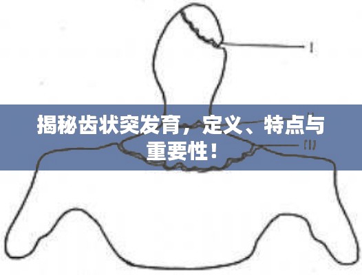 就正有道 第3页