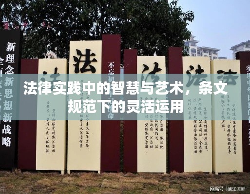 法律实践中的智慧与艺术,条文规范下的灵活运用
