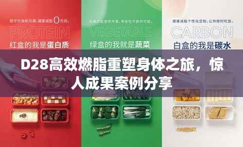 D28高效燃脂重塑身体之旅，惊人成果案例分享