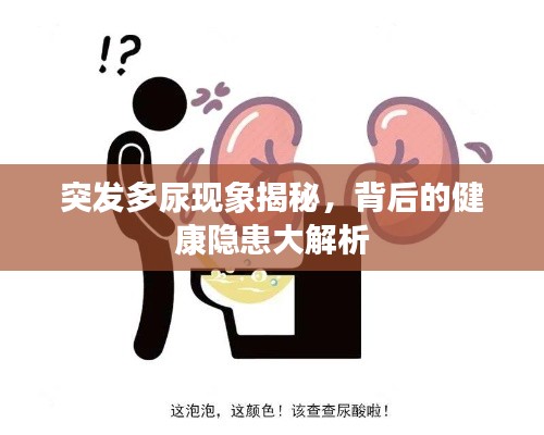 突发多尿现象揭秘，背后的健康隐患大解析