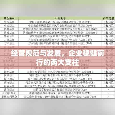 经营规范与发展,企业稳健前行的两大支柱