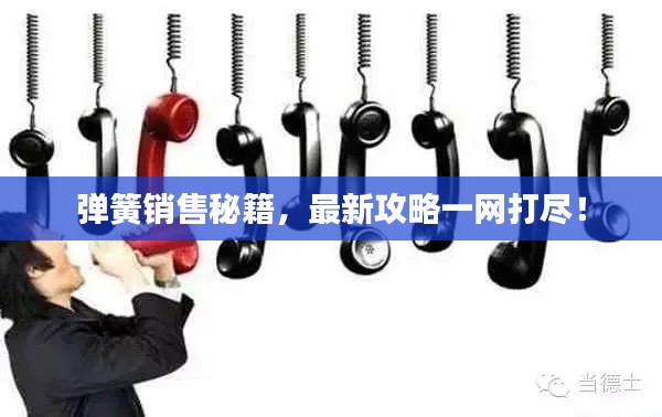 弹簧销售秘籍，最新攻略一网打尽！