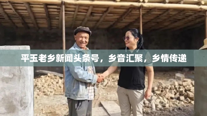 平玉老乡新闻头条号，乡音汇聚，乡情传递