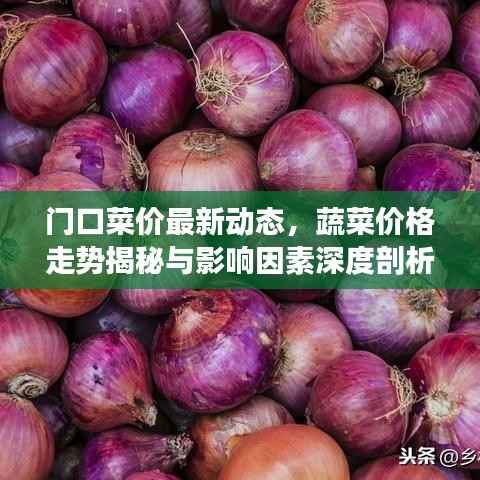 门口菜价最新动态，蔬菜价格走势揭秘与影响因素深度剖析