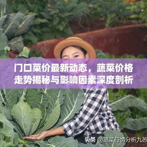 门口菜价最新动态,蔬菜价格走势揭秘与影响因素深度剖析