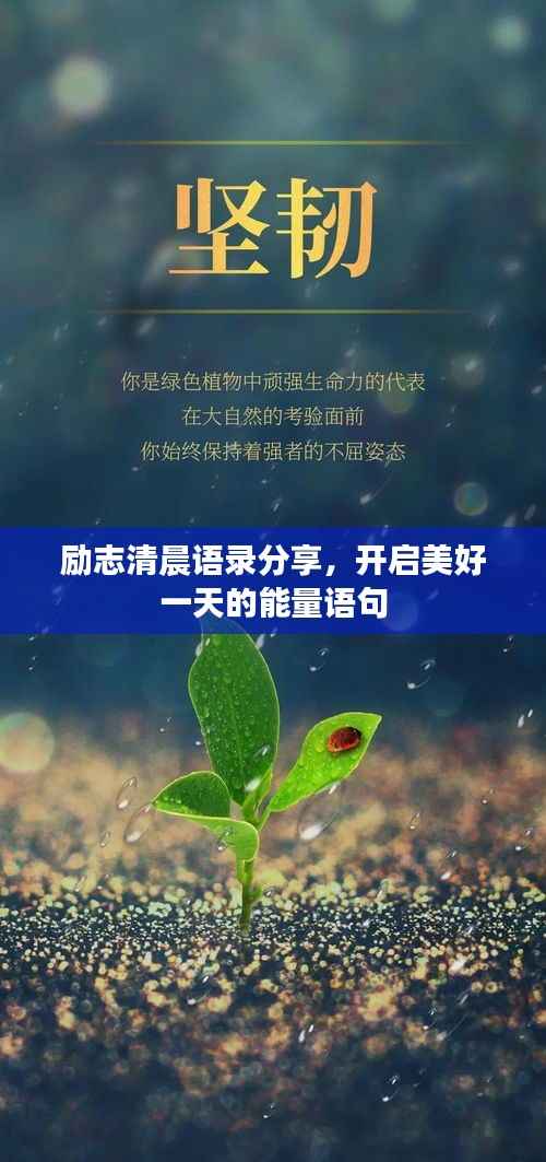 励志清晨语录分享,开启美好一天的能量语句