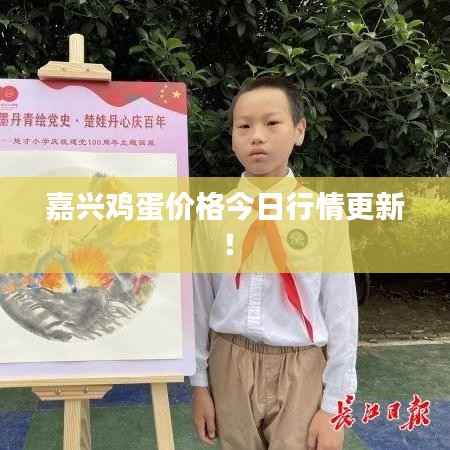 嘉兴鸡蛋价格今日行情更新！