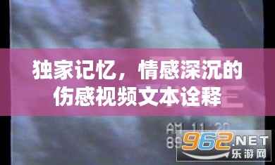 独家记忆,情感深沉的伤感视频文本诠释