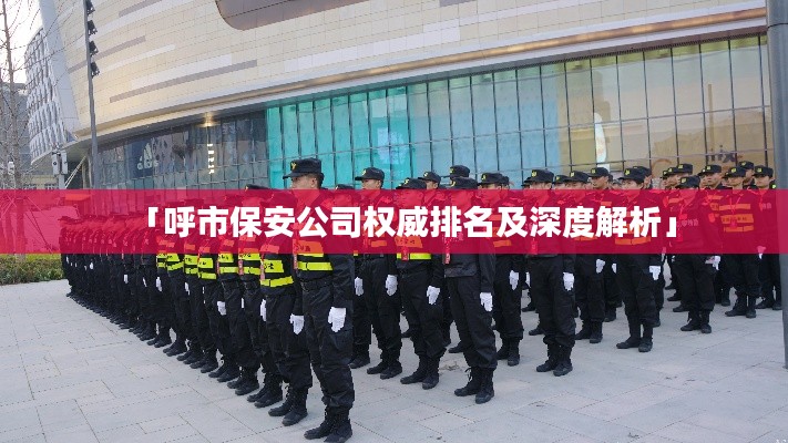 「呼市保安公司权威排名及深度解析」