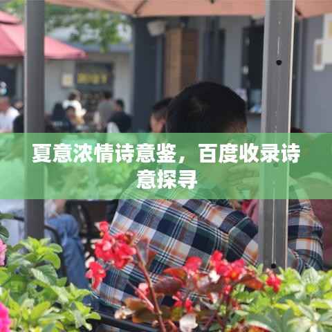 夏意浓情诗意鉴，百度收录诗意探寻
