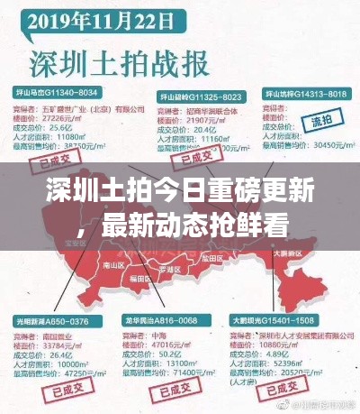 深圳土拍今日重磅更新，最新动态抢鲜看