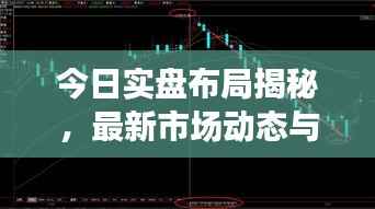 今日实盘布局揭秘，最新市场动态与策略调整全解析