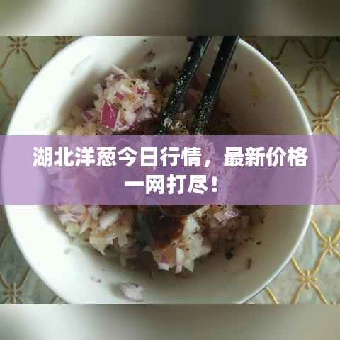 湖北洋葱今日行情，最新价格一网打尽！