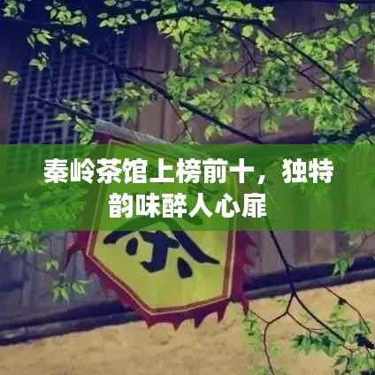 秦岭茶馆上榜前十,独特韵味醉人心扉