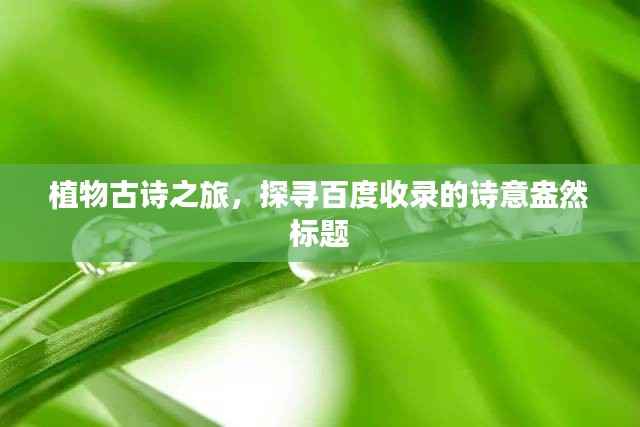 植物古诗之旅，探寻百度收录的诗意盎然标题