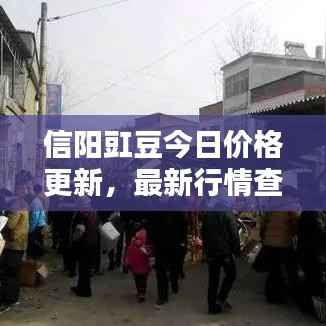 信阳豇豆今日价格更新，最新行情查询