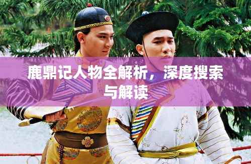 鹿鼎记人物全解析,深度搜索与解读