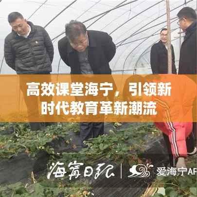 高效课堂海宁，引领新时代教育革新潮流