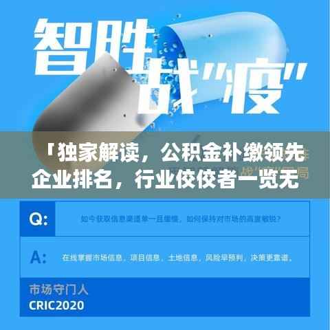 「独家解读，公积金补缴领先企业排名，行业佼佼者一览无遗」