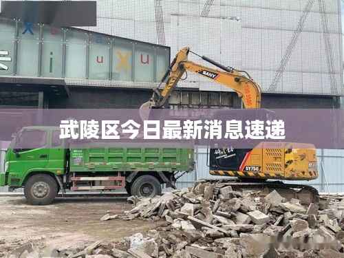 武陵区今日最新消息速递