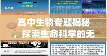 高中生物专题揭秘，探索生命科学的无尽奥秘
