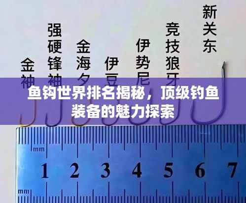 鱼钩世界排名揭秘，顶级钓鱼装备的魅力探索