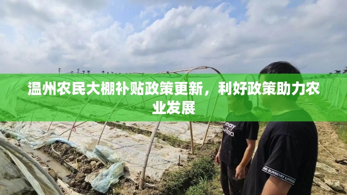 温州农民大棚补贴政策更新，利好政策助力农业发展