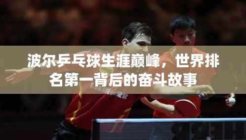波尔乒乓球生涯巅峰,世界排名第一背后的奋斗故事