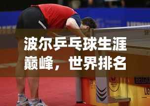 波尔乒乓球生涯巅峰,世界排名第一背后的奋斗故事
