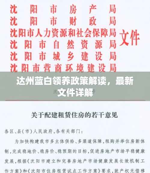 达州蓝白领养政策解读，最新文件详解