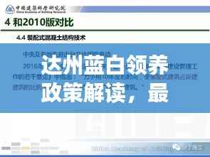 达州蓝白领养政策解读,最新文件详解