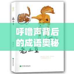 呼噜声背后的成语奥秘探秘