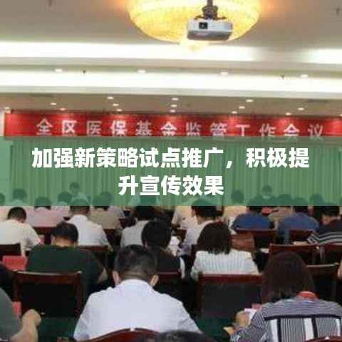 加强新策略试点推广，积极提升宣传效果