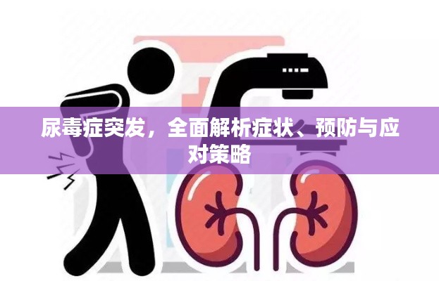 尿毒症突发，全面解析症状、预防与应对策略