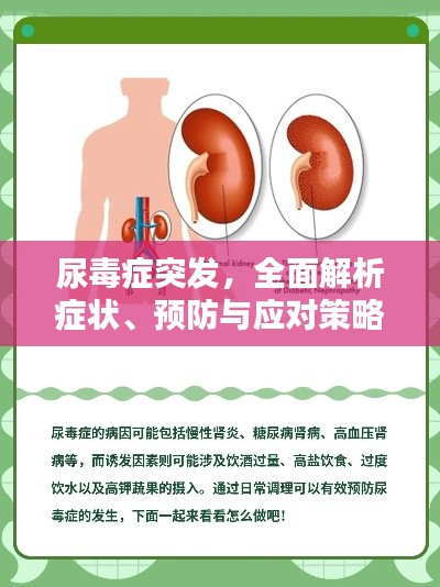 尿毒症突发,全面解析症状、预防与应对策略