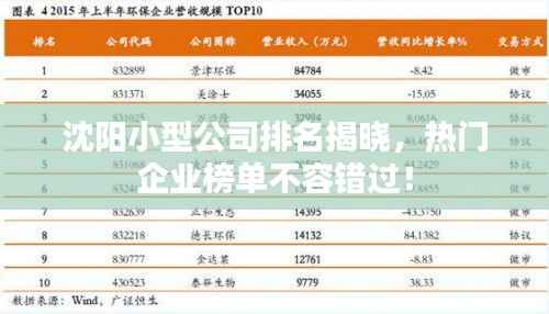 沈阳小型公司排名揭晓,热门企业榜单不容错过!