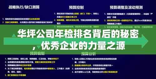 华坪公司年检排名背后的秘密，优秀企业的力量之源