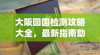 大阪回国检测攻略大全,最新指南助你顺利入境