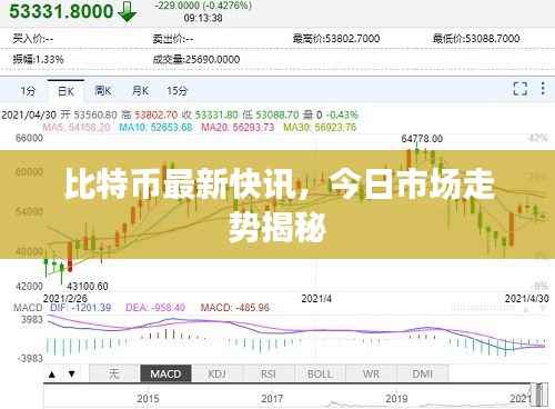 比特币最新快讯，今日市场走势揭秘