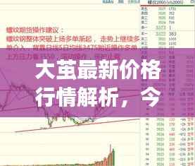 大茧最新价格行情解析，今日市场走势一网打尽！