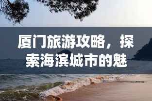 厦门旅游攻略，探索海滨城市的魅力随拍之旅