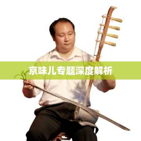 京味儿专题深度解析