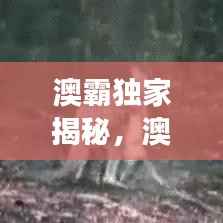 澳霸独家揭秘，澳洲独特魅力与无限探索之旅
