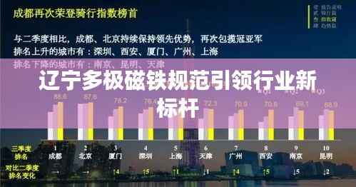 辽宁多极磁铁规范引领行业新标杆