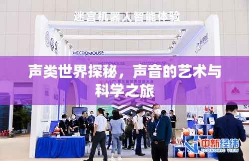声类世界探秘，声音的艺术与科学之旅
