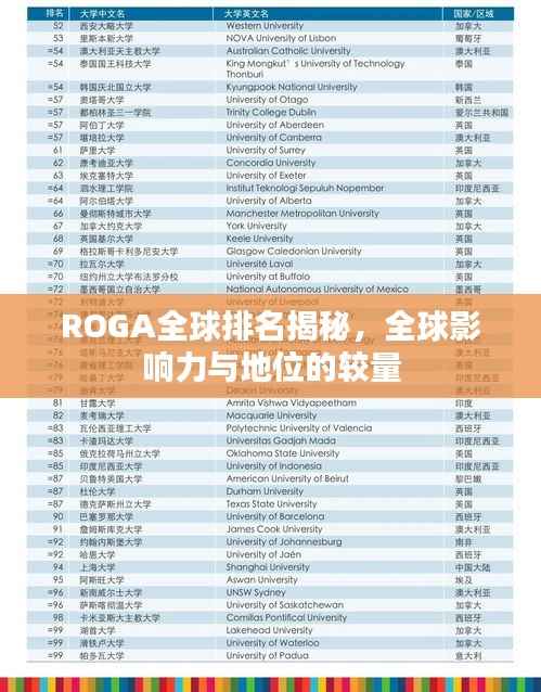 ROGA全球排名揭秘，全球影响力与地位的较量