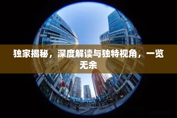 独家揭秘，深度解读与独特视角，一览无余
