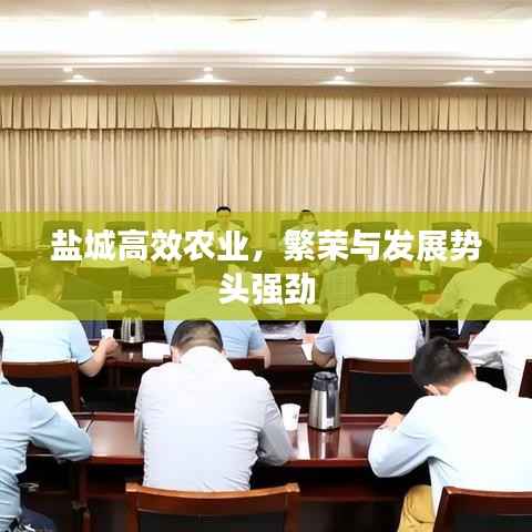 盐城高效农业,繁荣与发展势头强劲