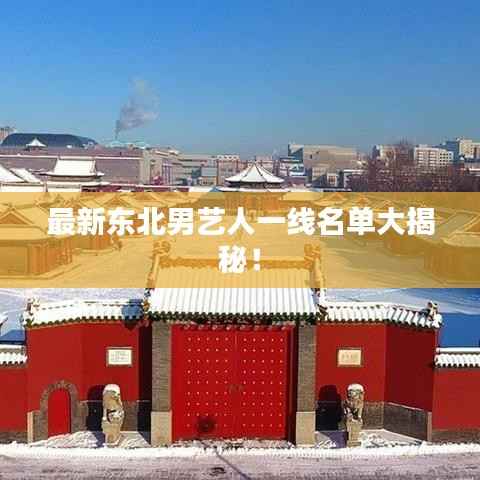 最新东北男艺人一线名单大揭秘！